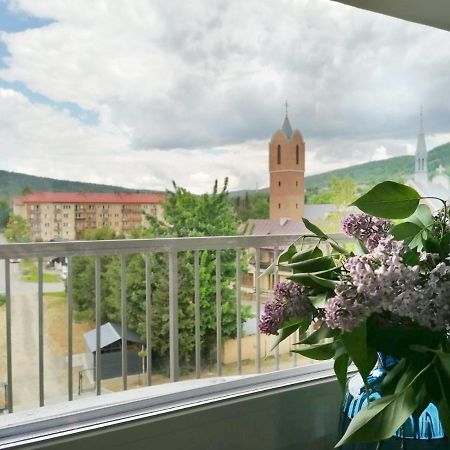 Apartament Gromadzyn 39 Ustrzyki Dolne Exteriör bild
