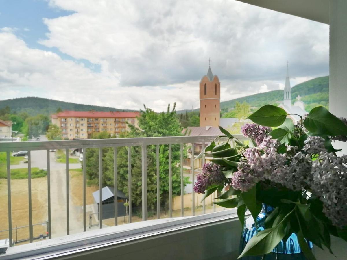 Apartament Gromadzyn 39 Ustrzyki Dolne Exteriör bild